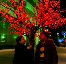 Фотография Шубиной Валерии