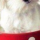 Надя Єрікова фотография #17 (источник - https://vk.com/id144861250)