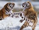 Лєнуська Вавринюк фотография #46 (источник - https://vk.com/id61248372)