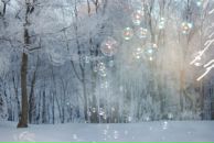 Михаил Яковлев фотография #27 (источник - https://vk.com/id2403530)