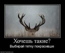 Ігор Невідомський фотография #16 (источник - https://vk.com/id49550529)