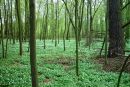 Сергій Мандебура фотография #18 (источник - https://vk.com/id106762388)