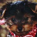 Даріна Самсонюк фотография #27 (источник - https://vk.com/id161908765)