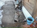 Фотография Камалетдиновой Зарины
