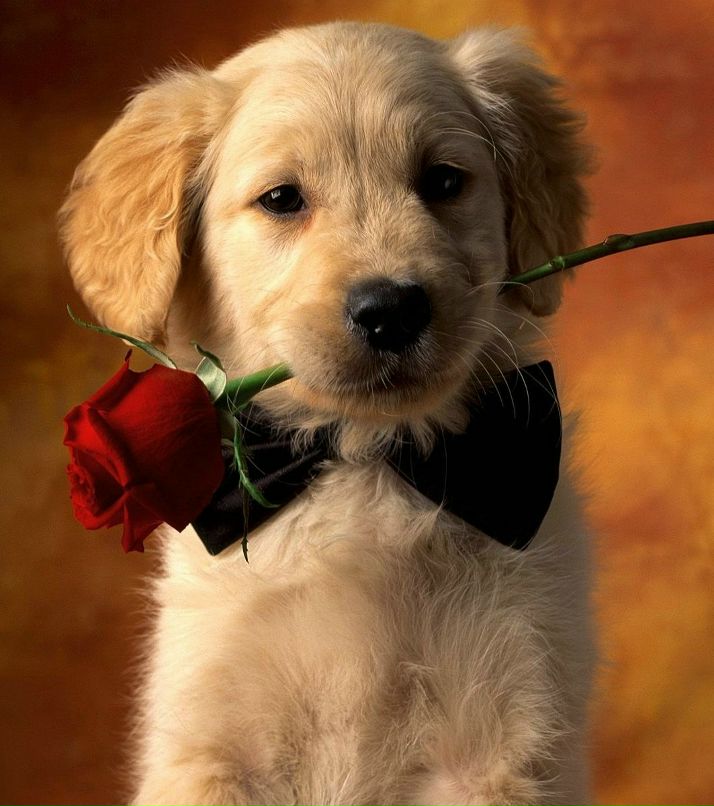 Майя Сланова фотография #49