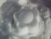 Фотография Таубе-Гаркуновой Ирины