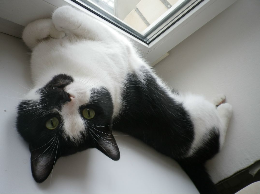 Антон Борзенков фотография #43