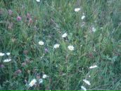 Фотография Натальевны Натальи