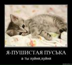 Фотография Петрова Владислава