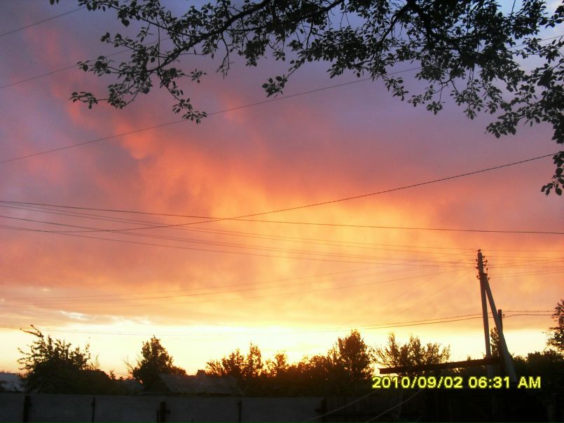 Elena Moiseenko фото №1