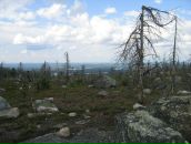 Иван Паньков фотография #30 (источник - https://vk.com/id746503)