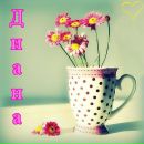 Діанка Головченко фотография #8 (источник - https://vk.com/id179013641)