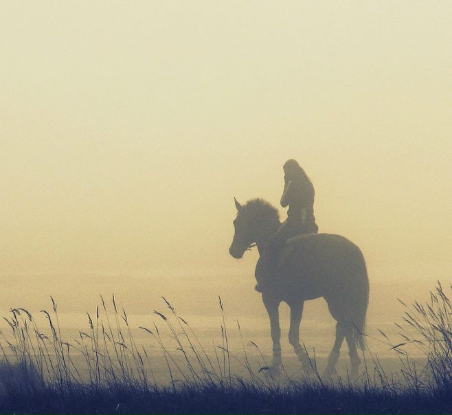 Nemo Forevermore фото №23