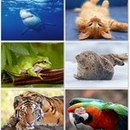 Соня Барвінська фотография #41 (источник - https://vk.com/id155746837)
