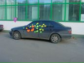 Дмитрий П. фотография #1