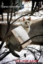 Андруся:)) Лозинська фотография #29 (источник - https://vk.com/id121655750)