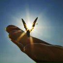 Андрій Томашевський фотография #8 (источник - https://vk.com/id28704369)