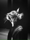 Фотография Кусачей Корины
