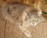 Фотография Тарнавской Анны