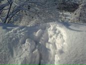 Іван Коваль фотография #26 (источник - https://vk.com/id50934328)