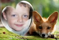 Дениско Бігайло фотография #1