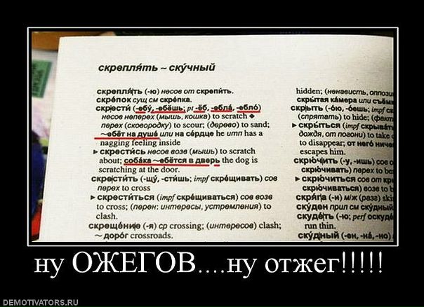 Вера Шевченко фото №41