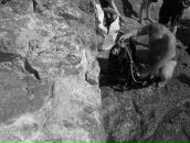 Андрій Ткач фотография #36 (источник - https://vk.com/id5782782)