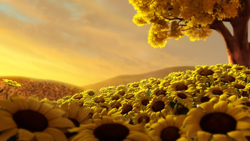 Rustam Luchev фотография #38