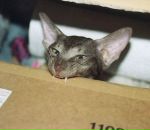 Фотография Щеглова Сергея