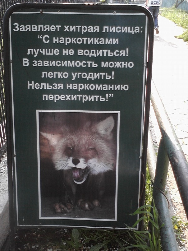 Дмитрий Иост фотография #41