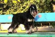 Фотография Михалёва Максима