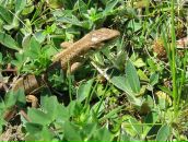 Андрій Войтюк фотография #25 (источник - https://vk.com/id8130537)