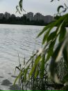 Ваня Петрусюк фотография #8 (источник - https://vk.com/id59858343)