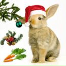 Фотография Щербины Александра