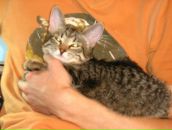 Фотография Сучкова Евгения