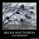 Майя Буко фотография #11 (источник - https://vk.com/id2721735)