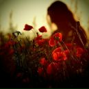 Фотография Кормишин Сан-Сан