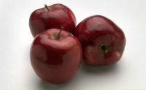 Фотография Кощеевой Натальи