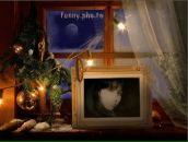 Фотография Царёвой Анны