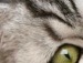 Ніна Руснак фотография #43 (источник - https://vk.com/id146398653)