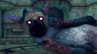 ЗЛОЙ ТРИКОШКА ► The Last Guardian #2